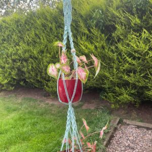 Flower  holders